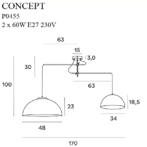 Pakabinamas šviestuvas CONCEPT P0454