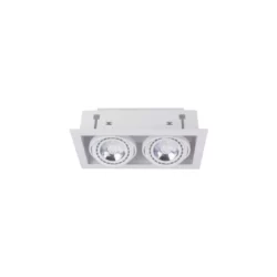 Įmontuojamas šviestuvas DOWNLIGHT WHITE II