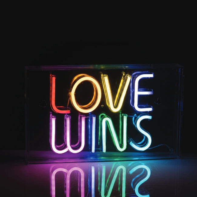 LED Neoninis užrašas "LOVE WINS", 31x4,6x19cm, IP20, 2M
